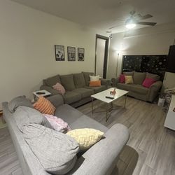 Gray Matching Couch Set 