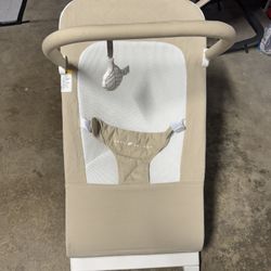 Baby Delight Bouncer 