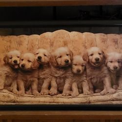 Golden Retriever puppies" framed picture