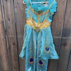 Disney Aladdin Princess Jasmine Halloween Costume