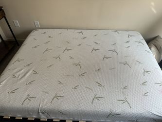 Queen Size Bamboo Bed And Bed Frame