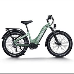 D5 Pro ST / All-terrain Electric Fat Bike 