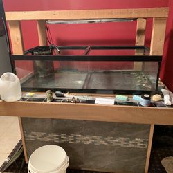 Fish Tank (reef Tank)