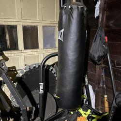 Punching Bag