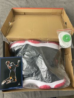 Jordan 11 bred