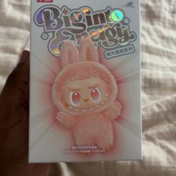 2 authentic Labubu Random Blindboxes!