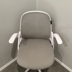 Office/Desk Chair