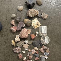 Gem. Fossil  And Rock Assortment 