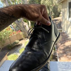 Steve Madden Dress Shoe 