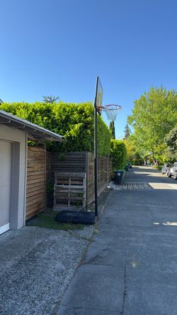 Basketball Hoop