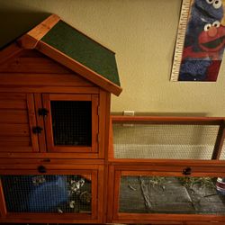 Guinea Pig Cage 