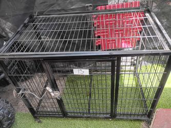 Dog Kennel