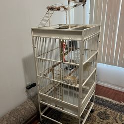 Bird Cage 