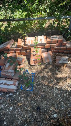 Red Bricks as is as shown $10 for all
