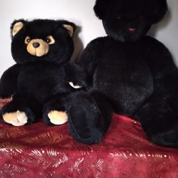 2 Stuffed Bears.  