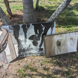 Group Of Horse Pictures ( Lot)