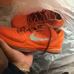 Kobe 6s