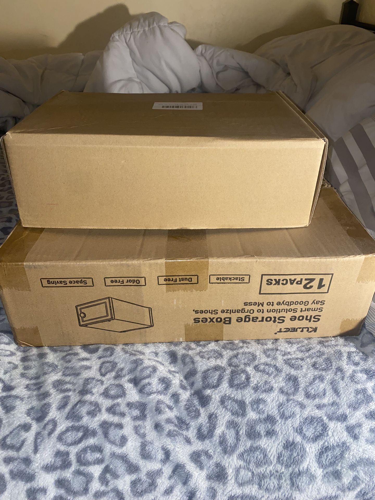 Shoe Storage Boxes/plastic Spring Shoe Supports Kit