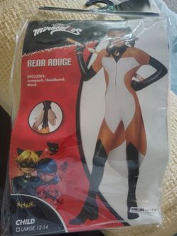 Miraculous costume