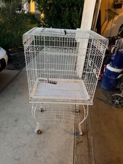 Bird cage