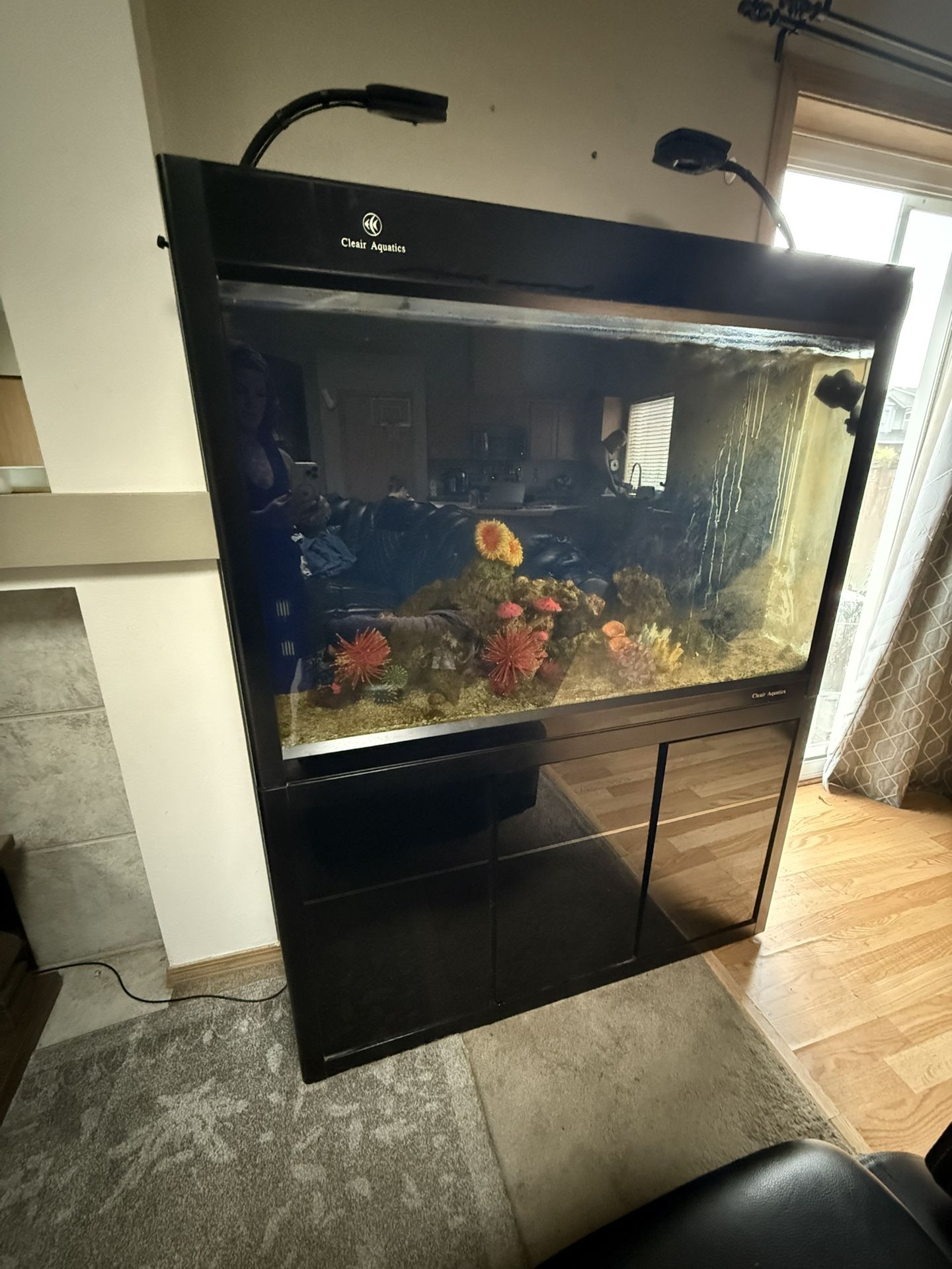 Salt Water Fish Tank And Sump