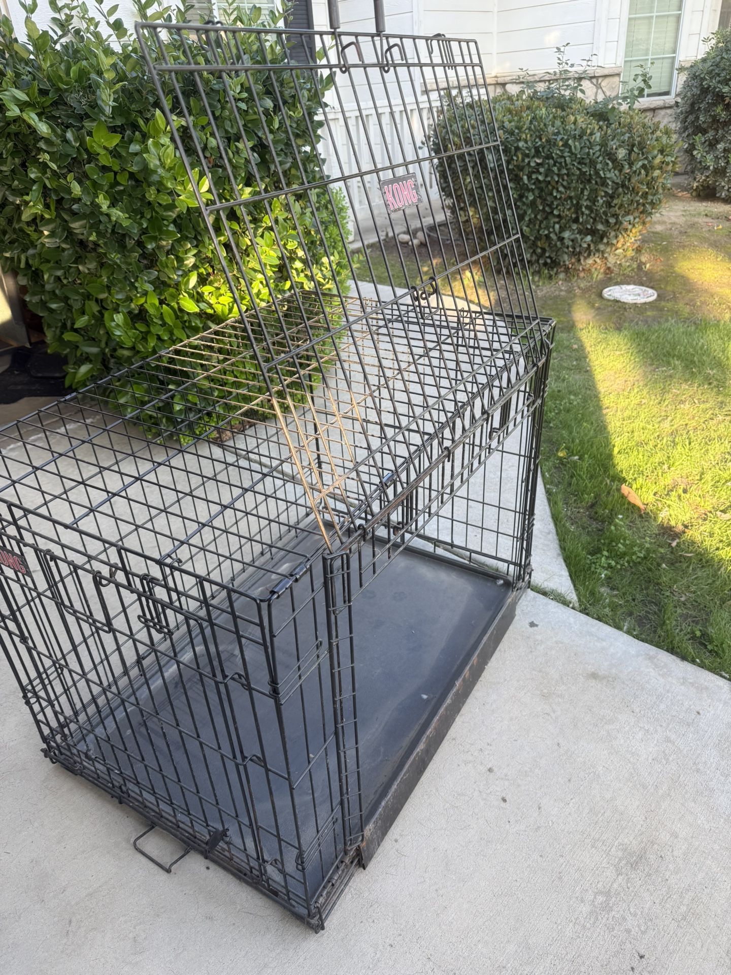 Kong Kennel