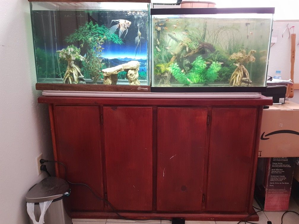 2 of 30 gallon fish tank