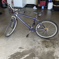 Magna  Road Bike $70