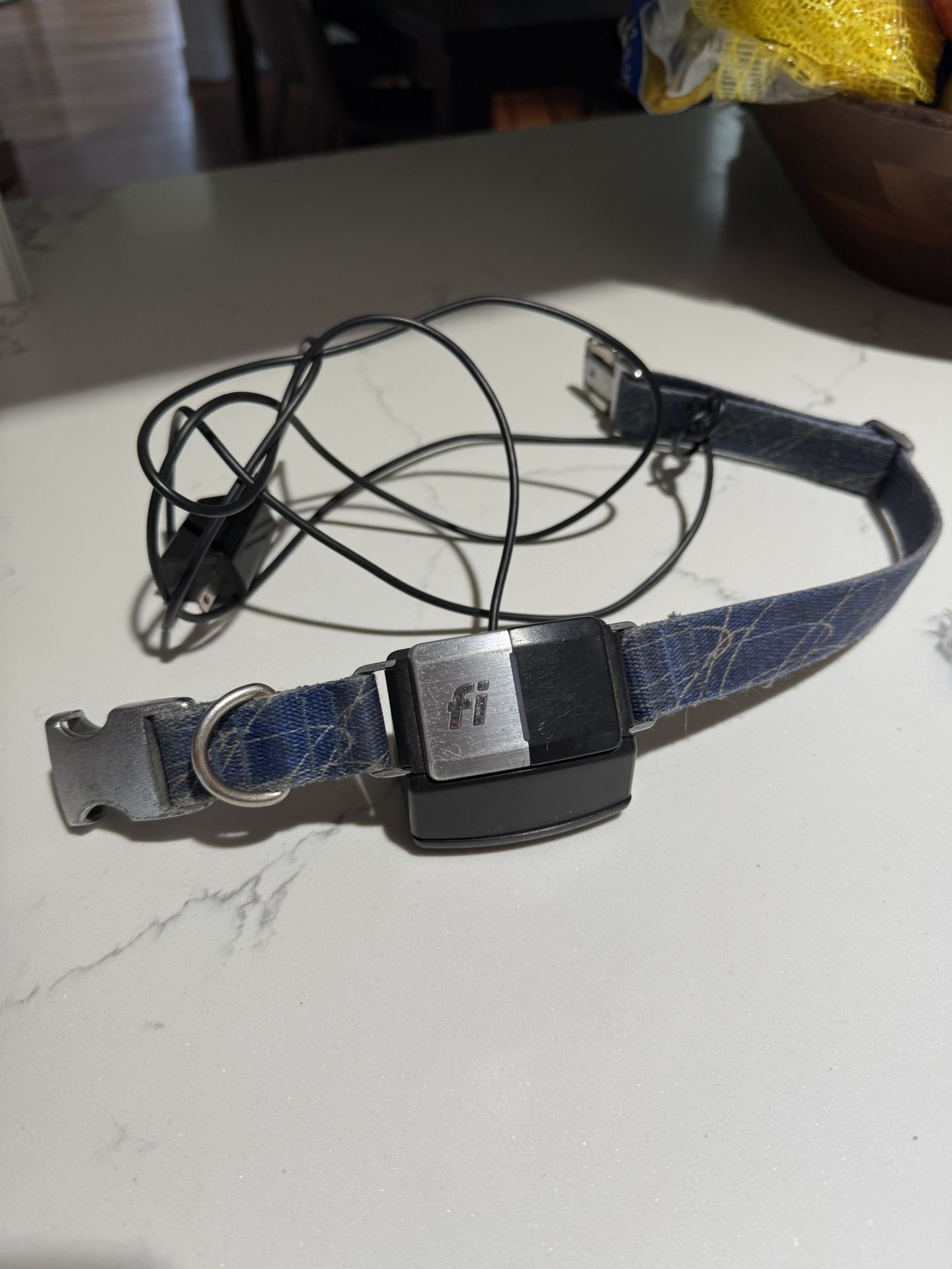 Fi Dog Collar