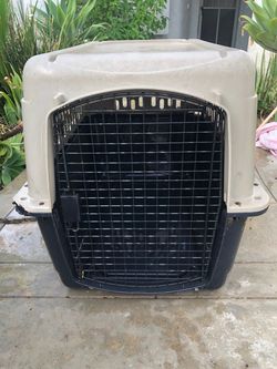 Large Plastic Dog Crate with Metal Door