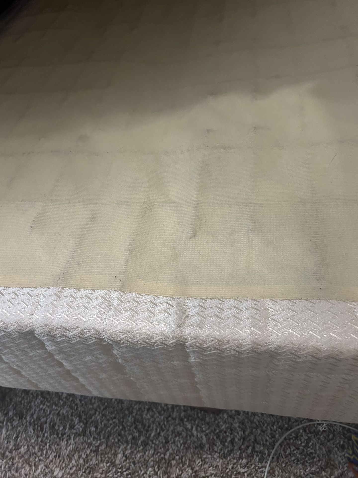 Twin Size Box springs