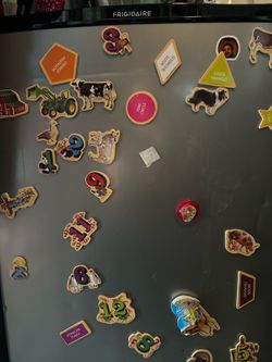 Mini Fridge