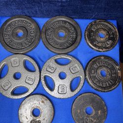 31 Lbs Of Weight Plates 