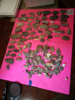 Indian ARROWHEADS
