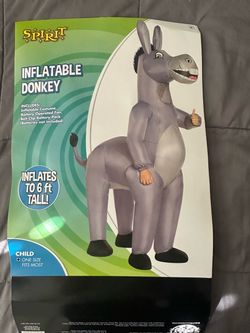 Halloween costume ( inflatable Dankey)