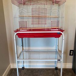 Bird Cage