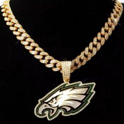 Nee Philadelphia Eagles 20" Chain Iced Necklace  Gold Or Silver Many Other Teams AVAILABLE 