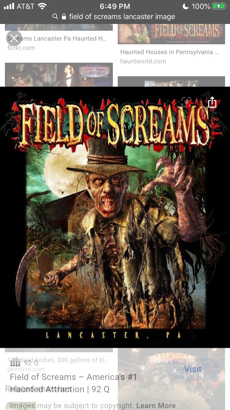 field of screams