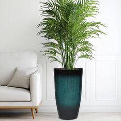 Tall Outdoor Planter, One Large Flower Pot