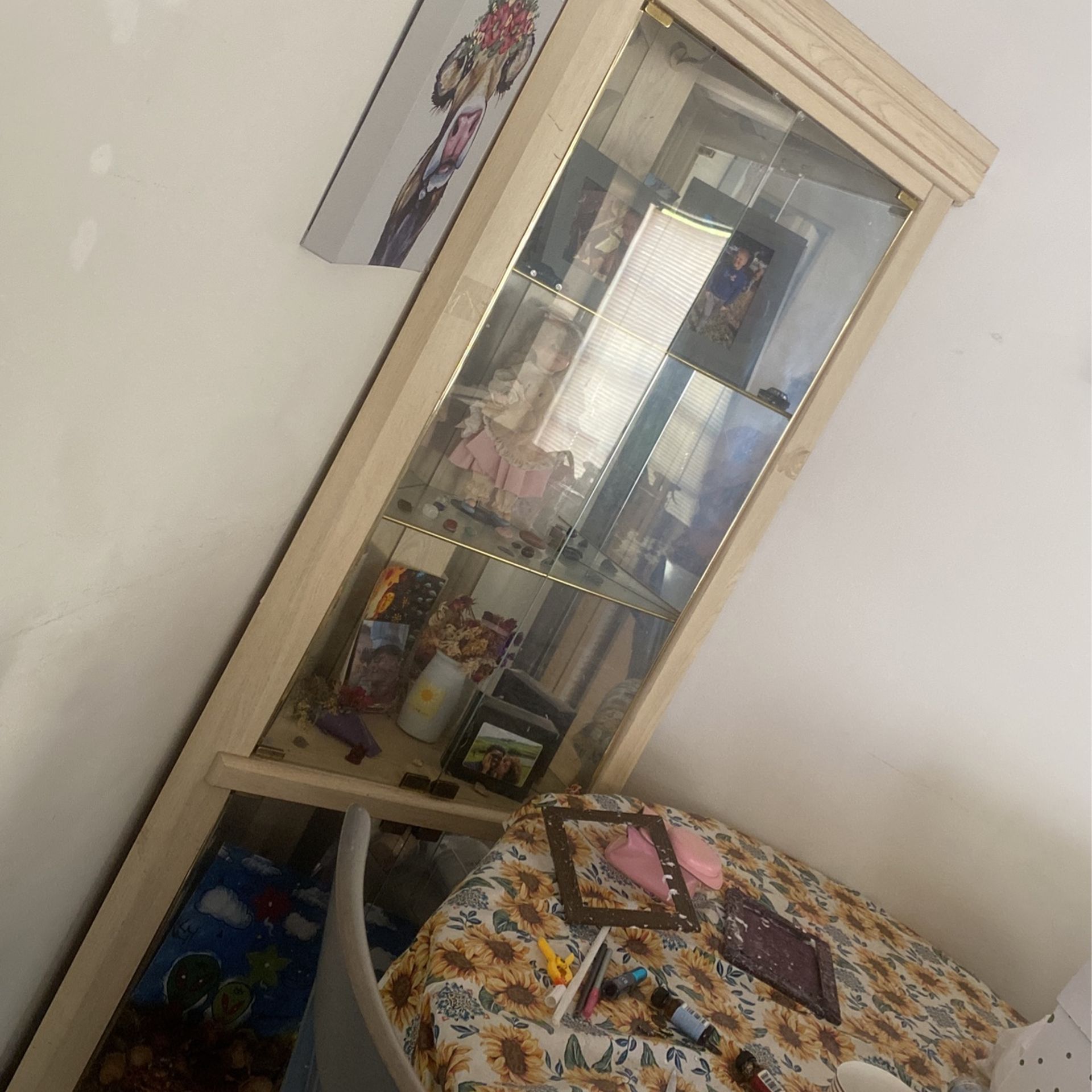 Corner Shelf With Lights