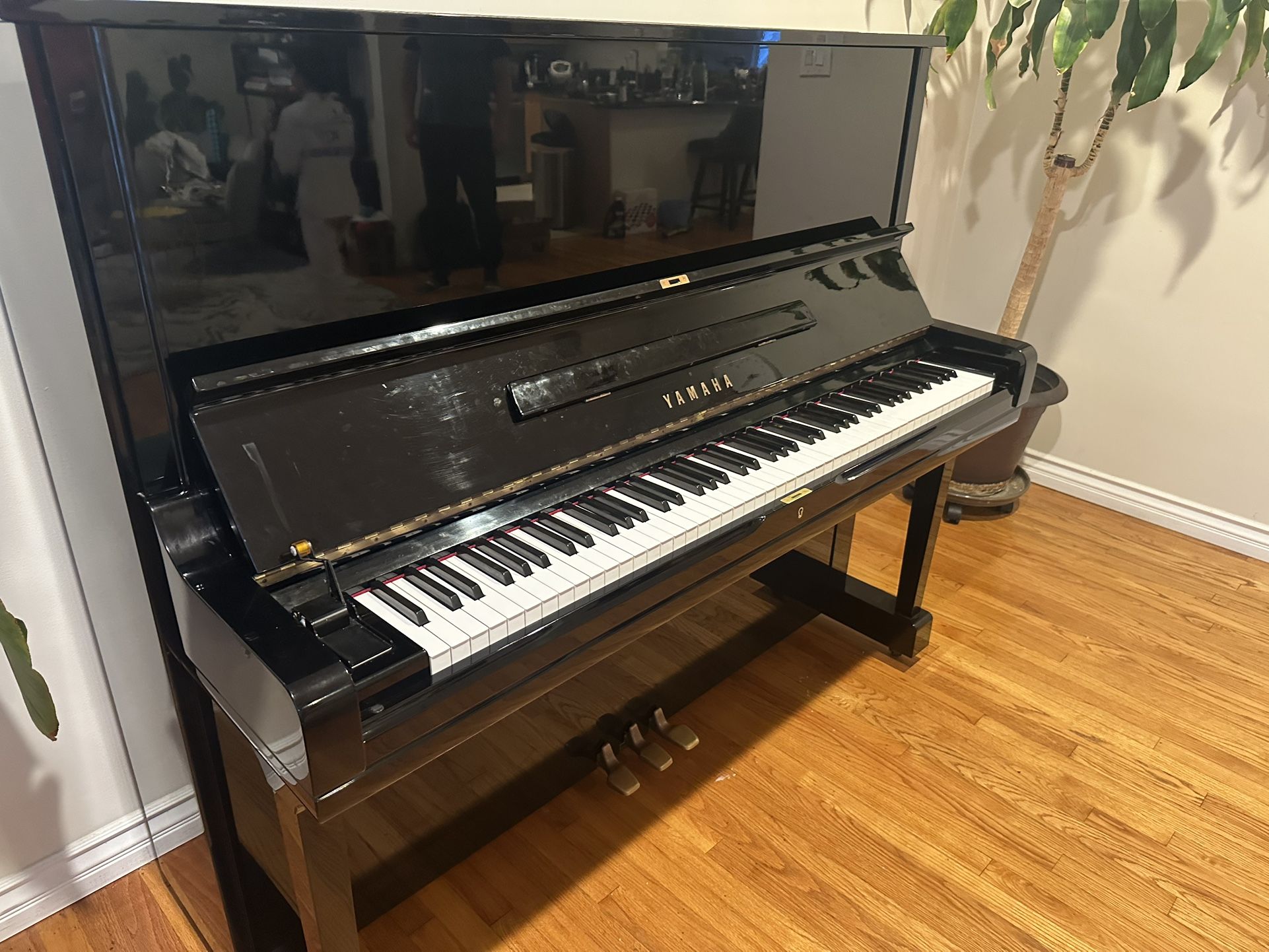 Black Yamaha U3. Free Delivery