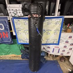 REVGEAR Punching Bag