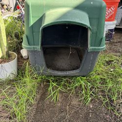 Dog House