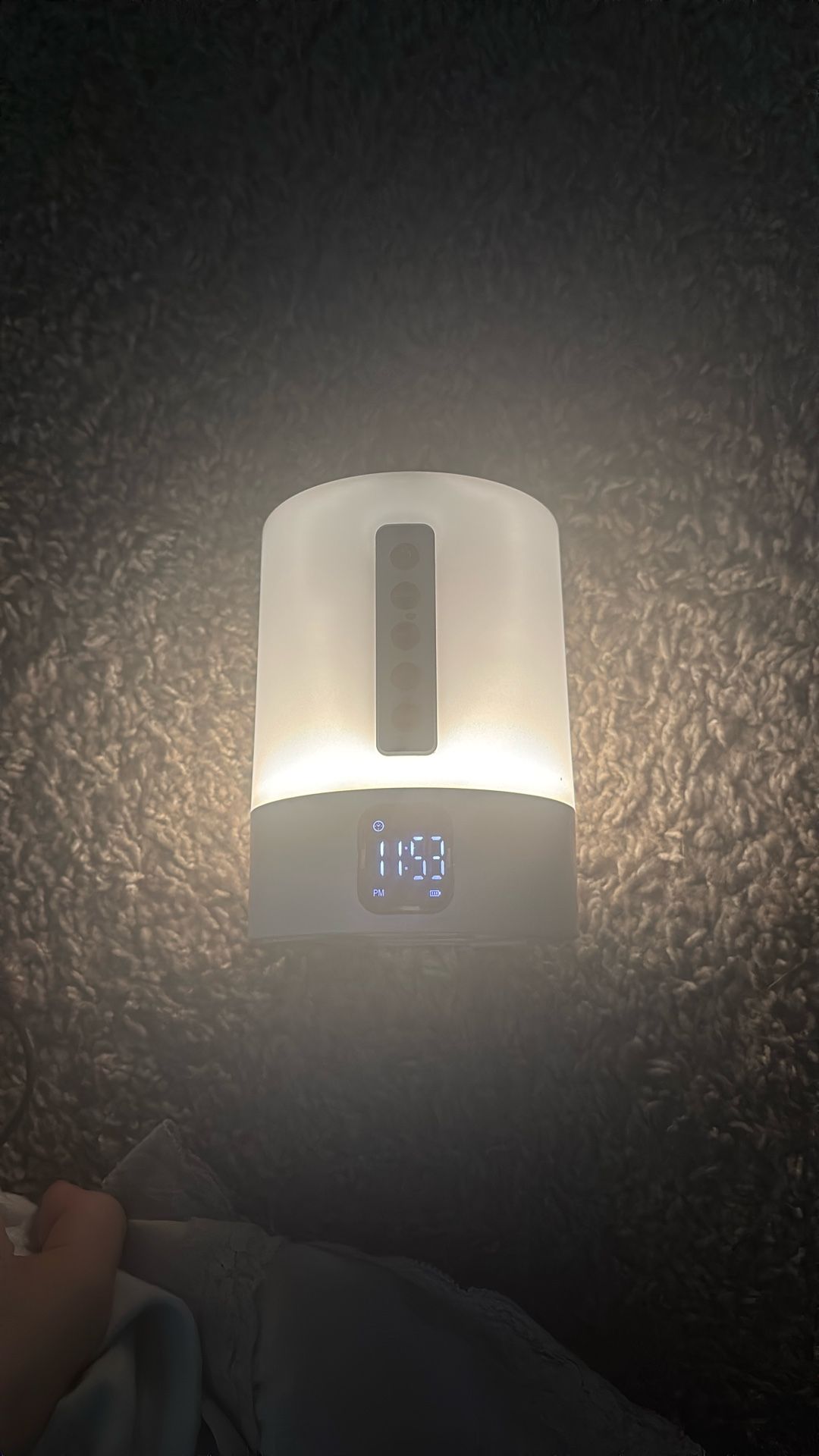 Speaker And Alarm And Charger