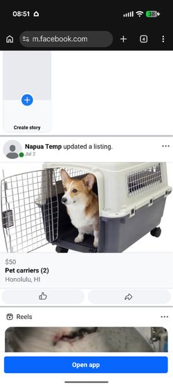 Dog kennel