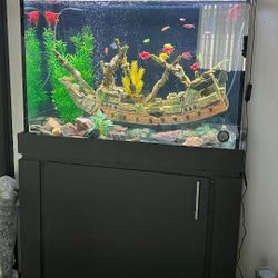Fish Tank With Fish And Pump