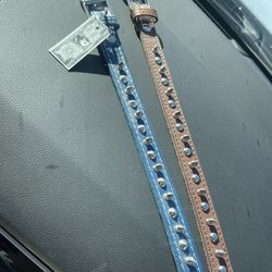 24 Inch Spiked Collars 