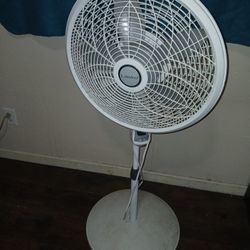 Lasko Standing  Fan in white