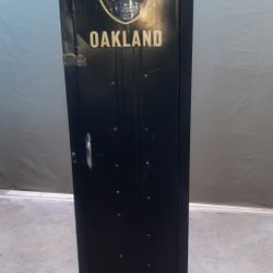 👍❌ Metal Cabinet Gun Case