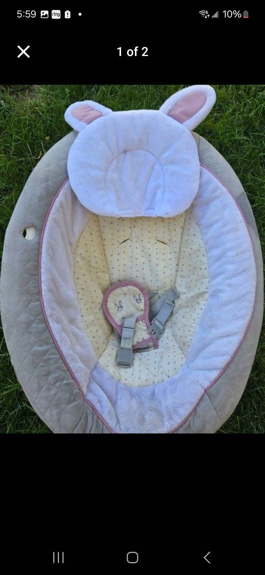 Baby Bouncer